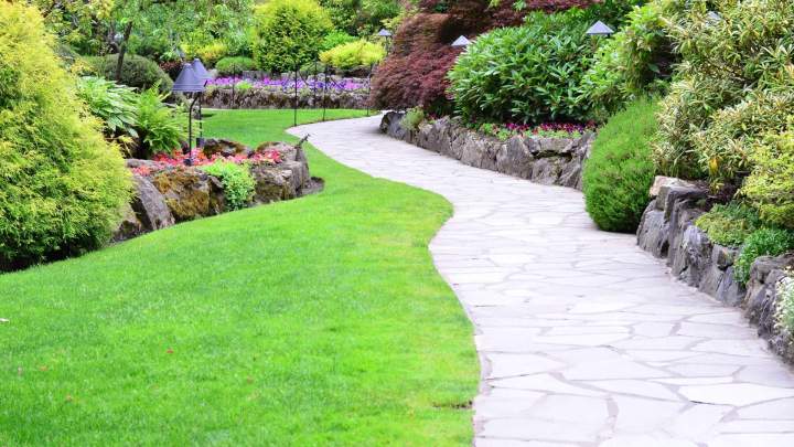 Entretien régulier de vos parcs