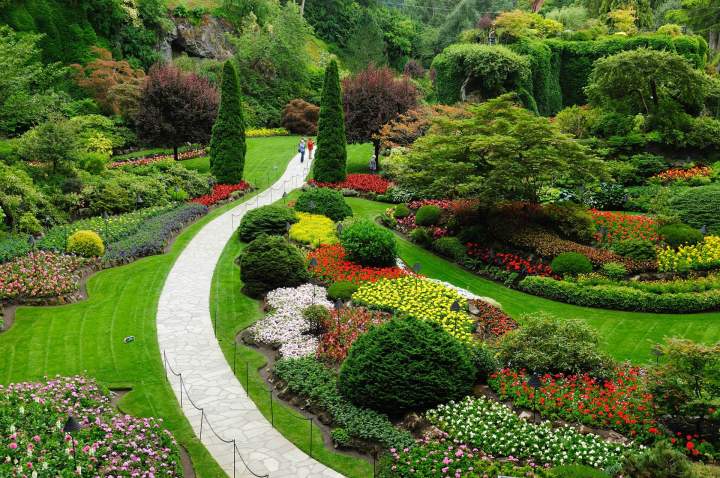 Equipe Entretien Jardin près d'Orléans