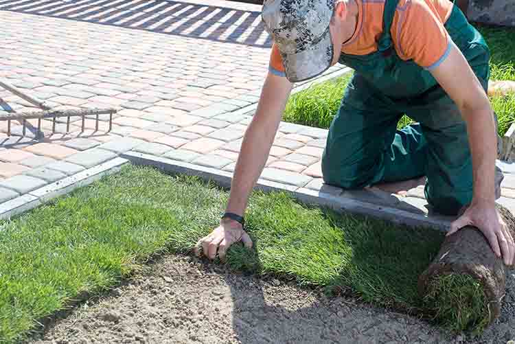 Paysagiste, Marigny-les-Usages