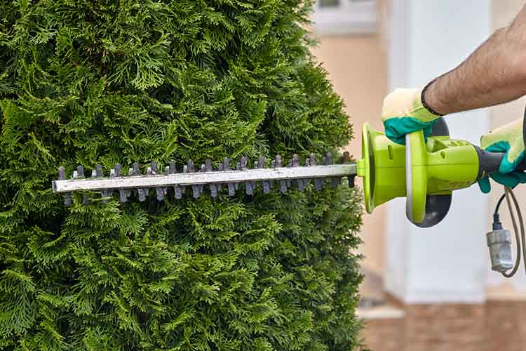 Quelles sont les étapes de la création d'un jardin ? Traînou