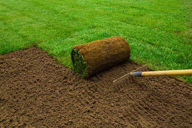 Création de jardin, Marigny-les-Usages